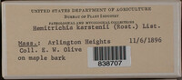 Image Associated With the Occurence
